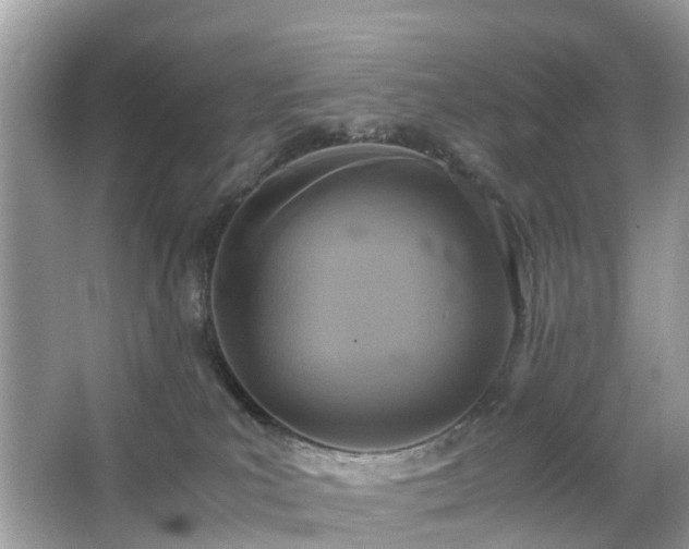 X0000063520039200601231527