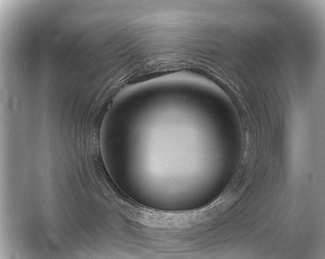 X0000063520048200601231527