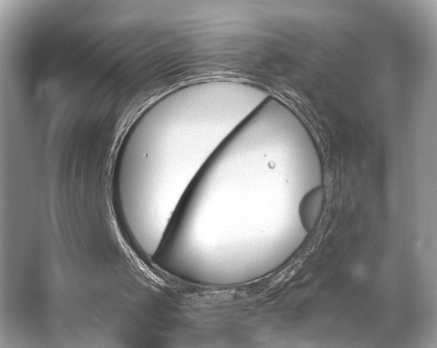 X0000063520049200601231526