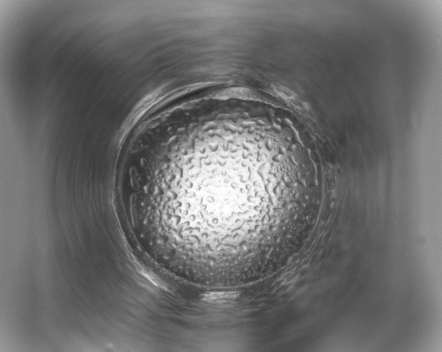 X0000063520051200601231526