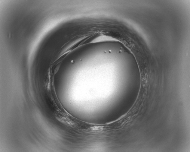 X0000063520052200601231526