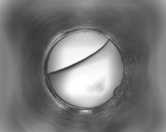 X0000063520053200601231526