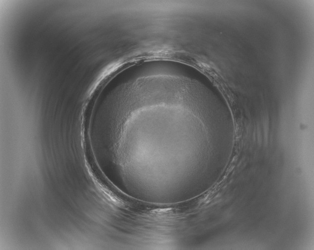 X0000063520054200601231526