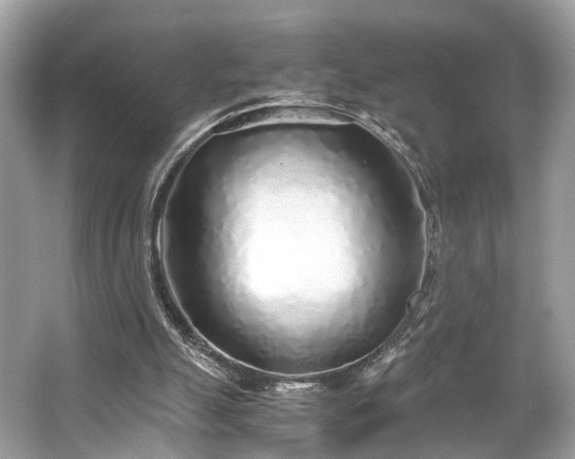 X0000063520055200601231526