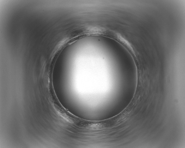 X0000063520059200601231526