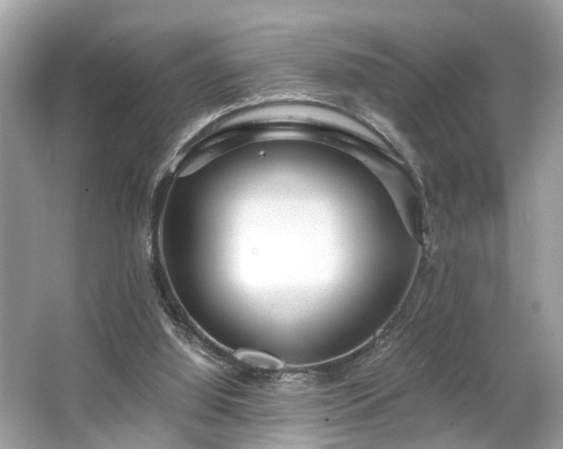 X0000063520060200601231526