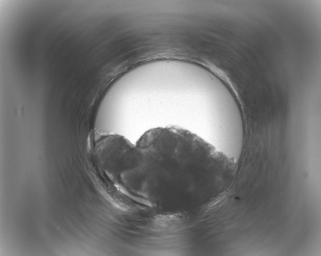 X0000063520061200601231526