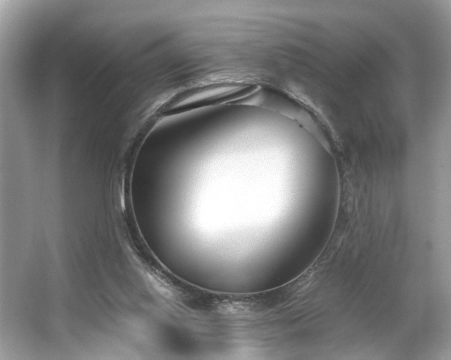 X0000063520062200601231526