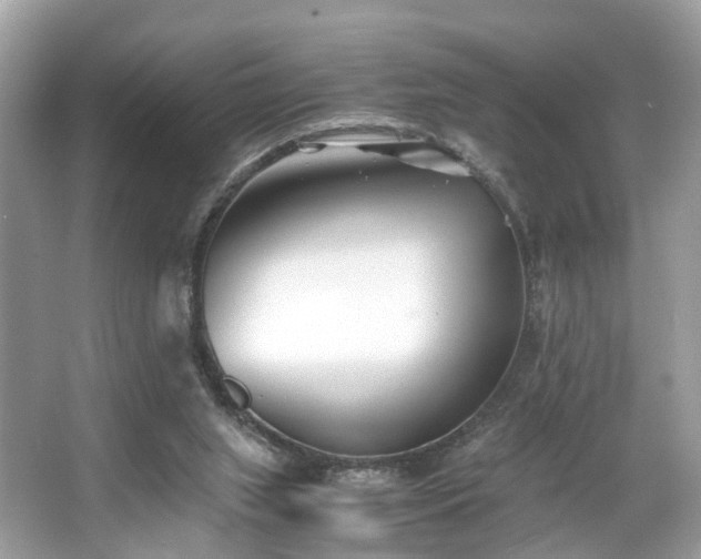 X0000063520063200601231526