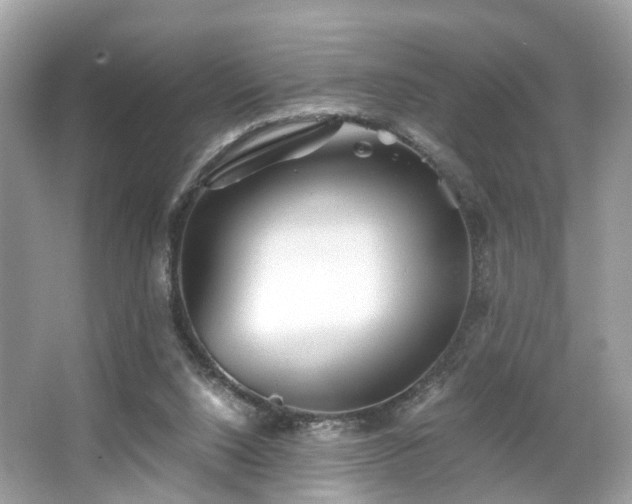 X0000063520064200601231526