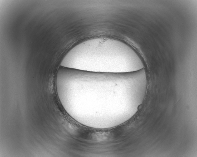 X0000063520065200601231526