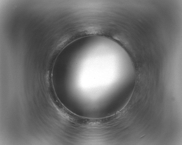 X0000063520066200601231526