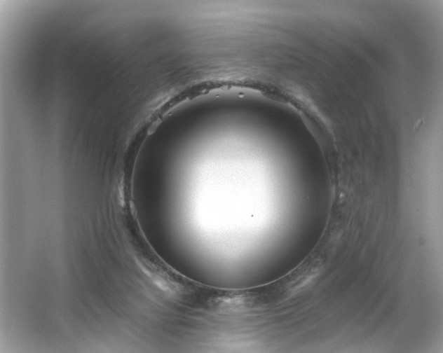 X0000063520068200601231526