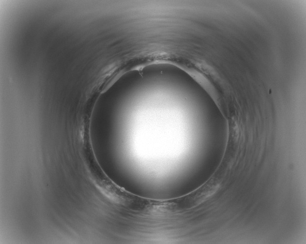 X0000063520072200601231526