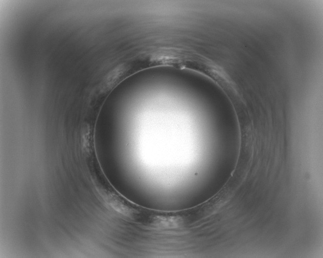 X0000063520073200601231526