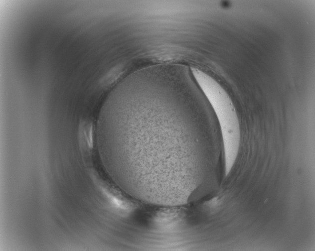 X0000063520076200601231526