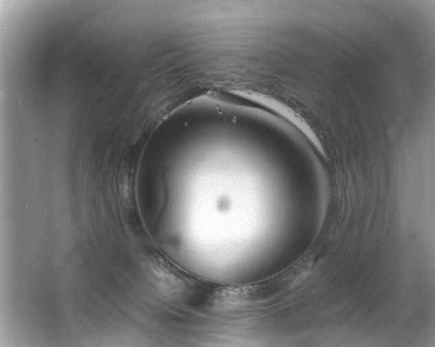 X0000063520084200601231527