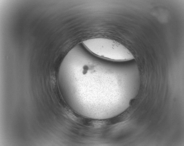 X0000063520085200601231527