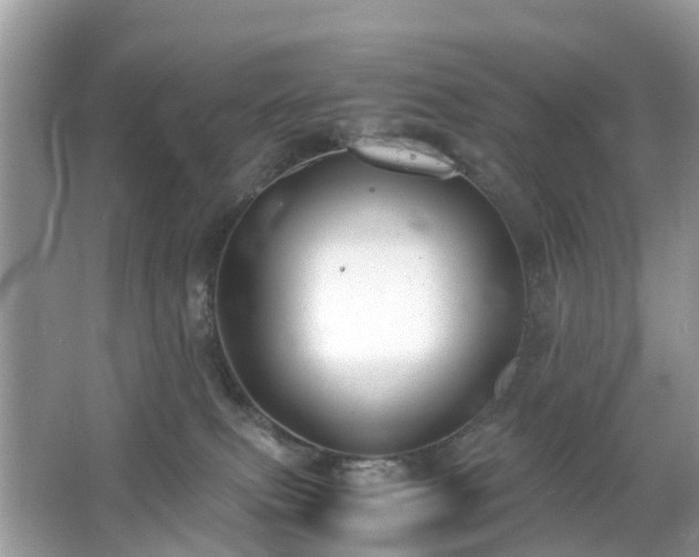 X0000063520087200601231527