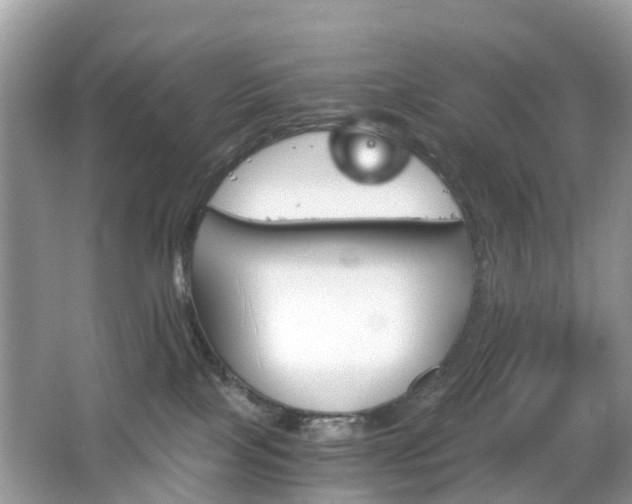 X0000063520089200601231527