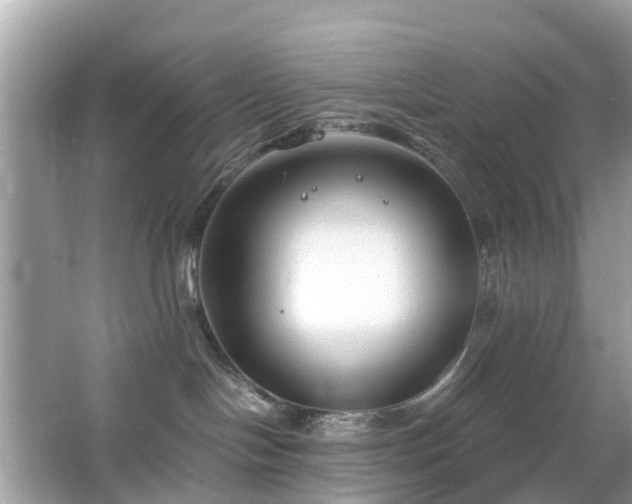 X0000063520094200601231527