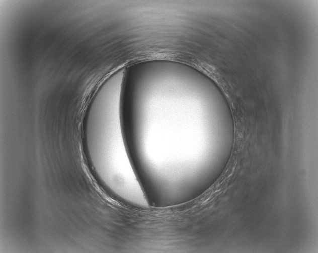 X0000063520097200601231526