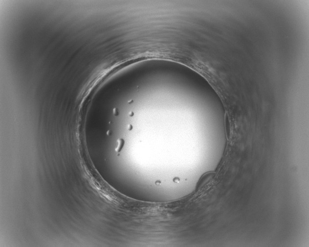 X0000063520098200601231526