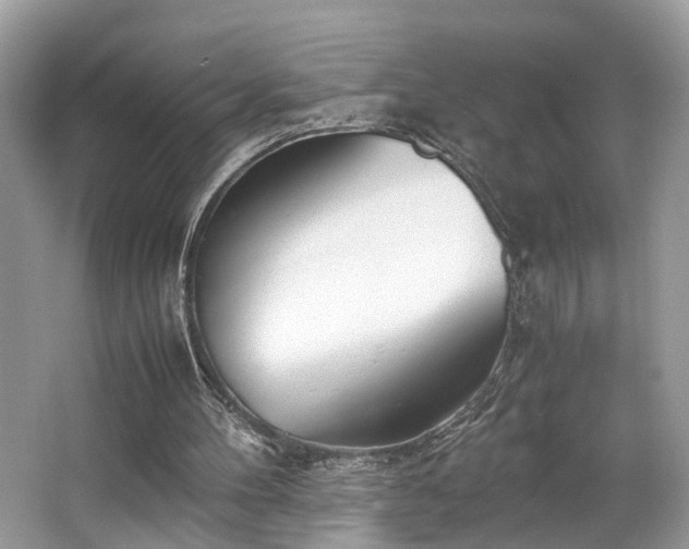 X0000063520100200601231526