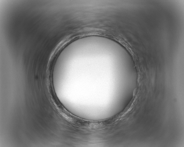 X0000063520101200601231526