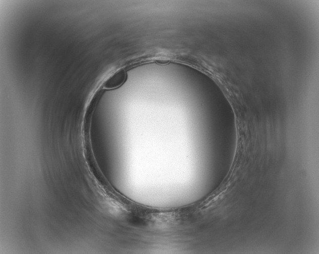 X0000063520102200601231526