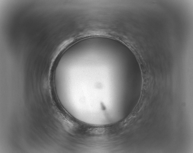 X0000063520104200601231526