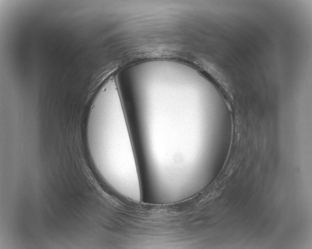 X0000063520105200601231526