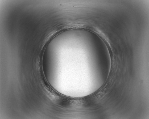 X0000063520107200601231526