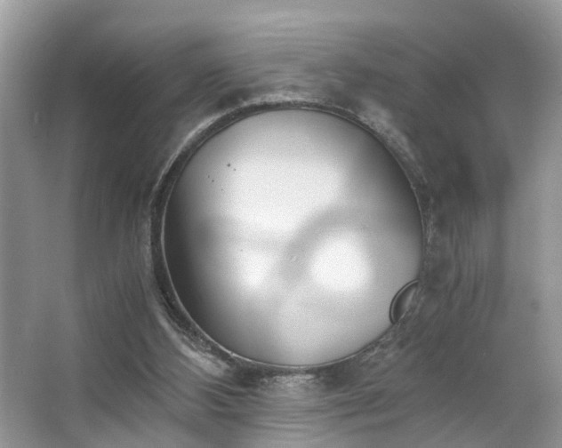 X0000063520108200601231526