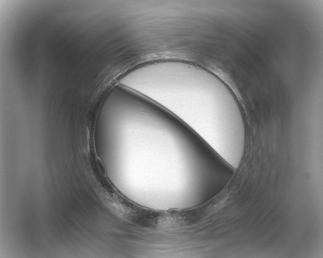 X0000063520109200601231526