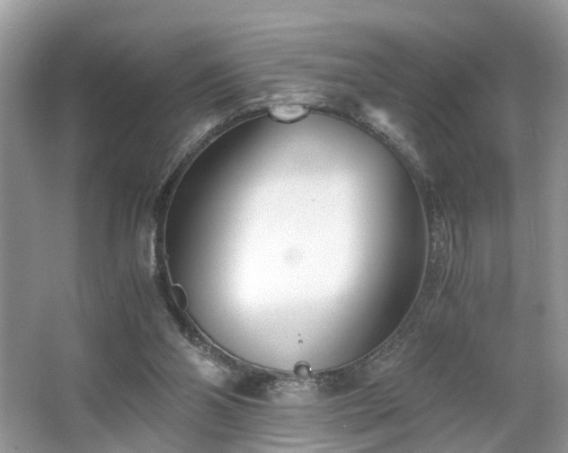 X0000063520110200601231526