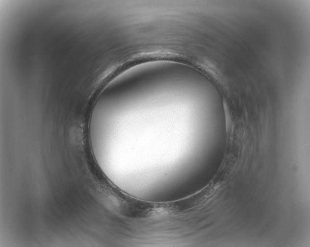 X0000063520111200601231526