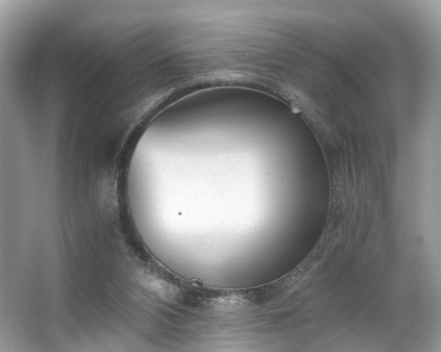 X0000063520112200601231526