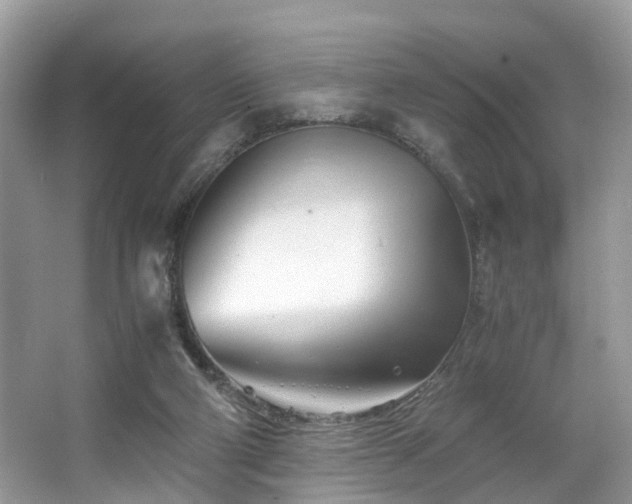 X0000063520114200601231526