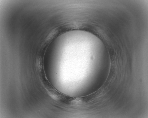 X0000063520119200601231526