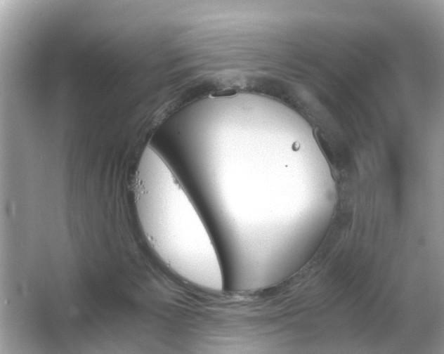 X0000063520125200601231526