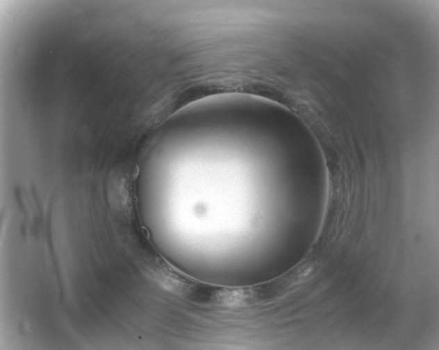 X0000063520131200601231525