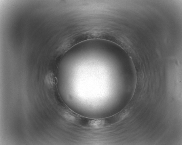 X0000063520135200601231525