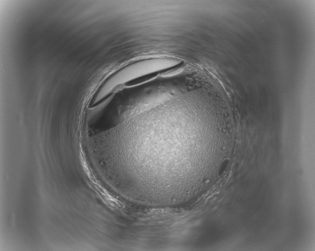 X0000063520145200601231524