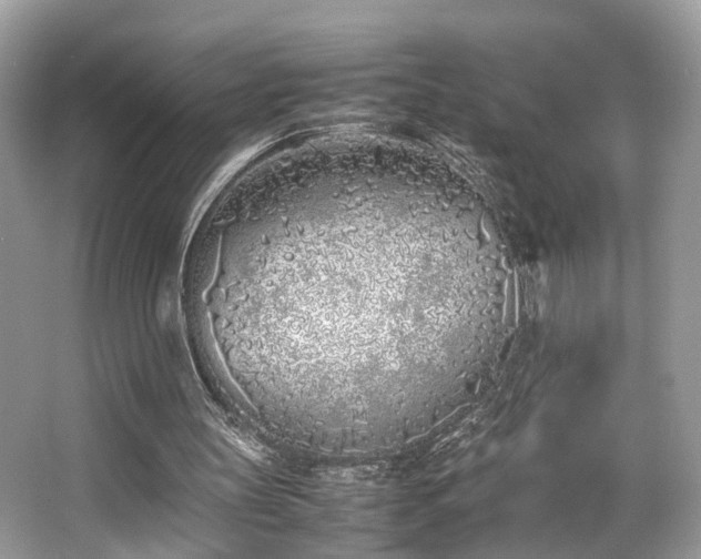 X0000063520147200601231524