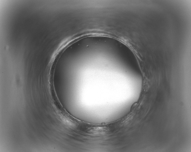 X0000063520151200601231525