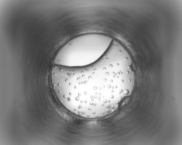 X0000063520153200601231525