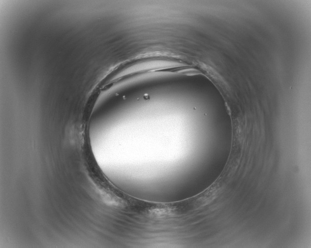 X0000063520160200601231525