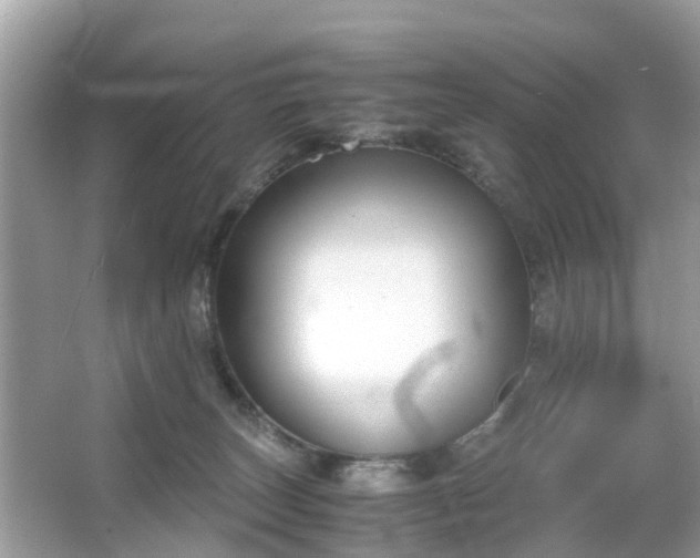 X0000063520179200601231525