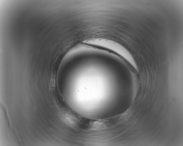 X0000063520180200601231525